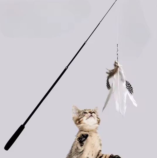 Cat Fishing Rod Toy