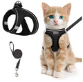Cat Harness and Leash